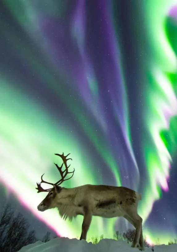 Murmansk